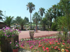 Tropikal Resort Park
